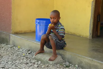 DSC_8348 (Large).JPG